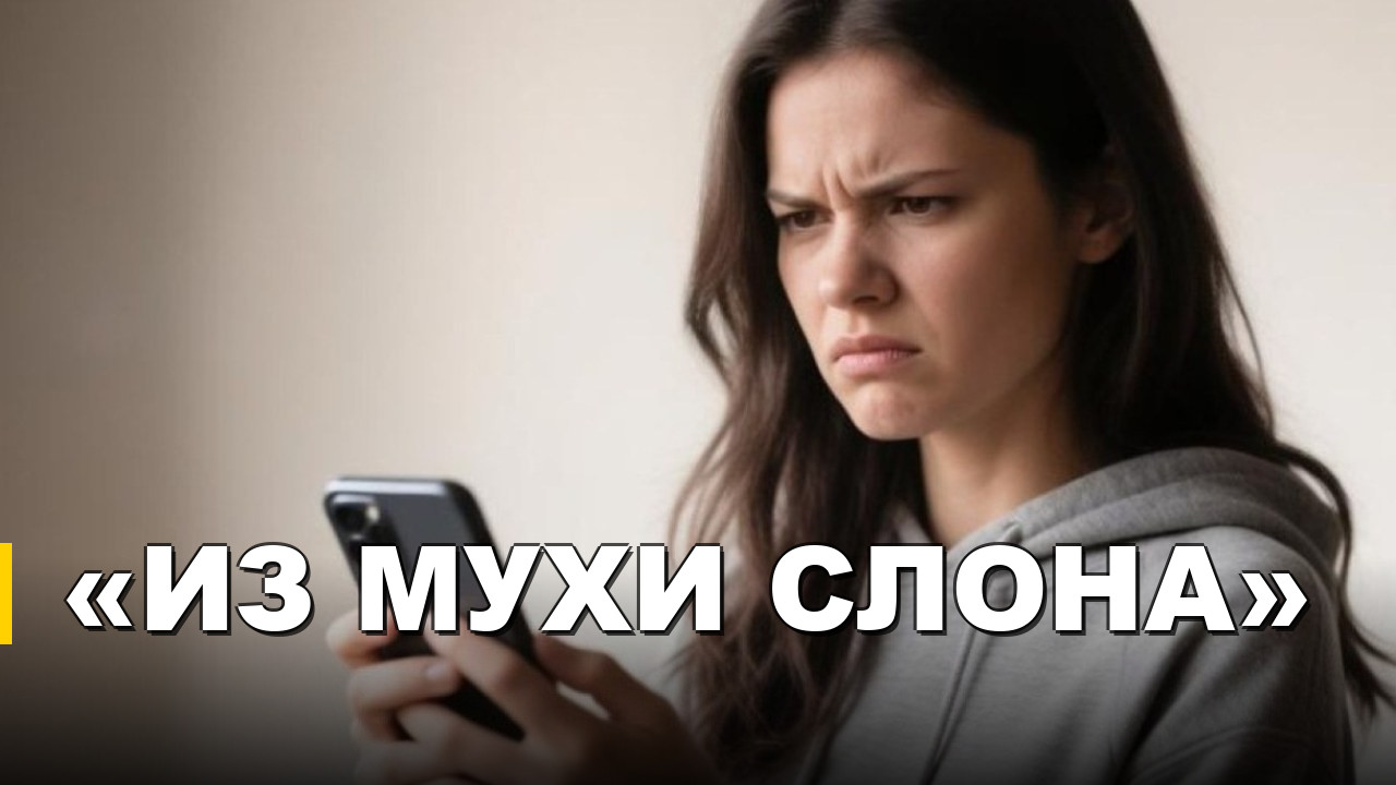 Иллюстрация к статье ««Не делай из мухи слона» — как одной фразой отменяют чужую претензию»